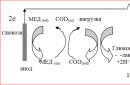 Gorivne celice: tipi, principi delovanja in značilnosti DIY vodikova baterija