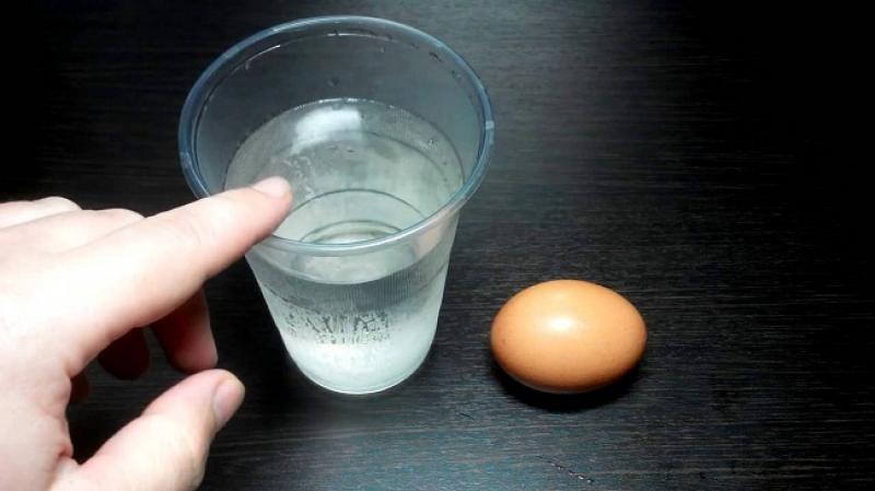 Срок годности куриных яиц и условия хранения